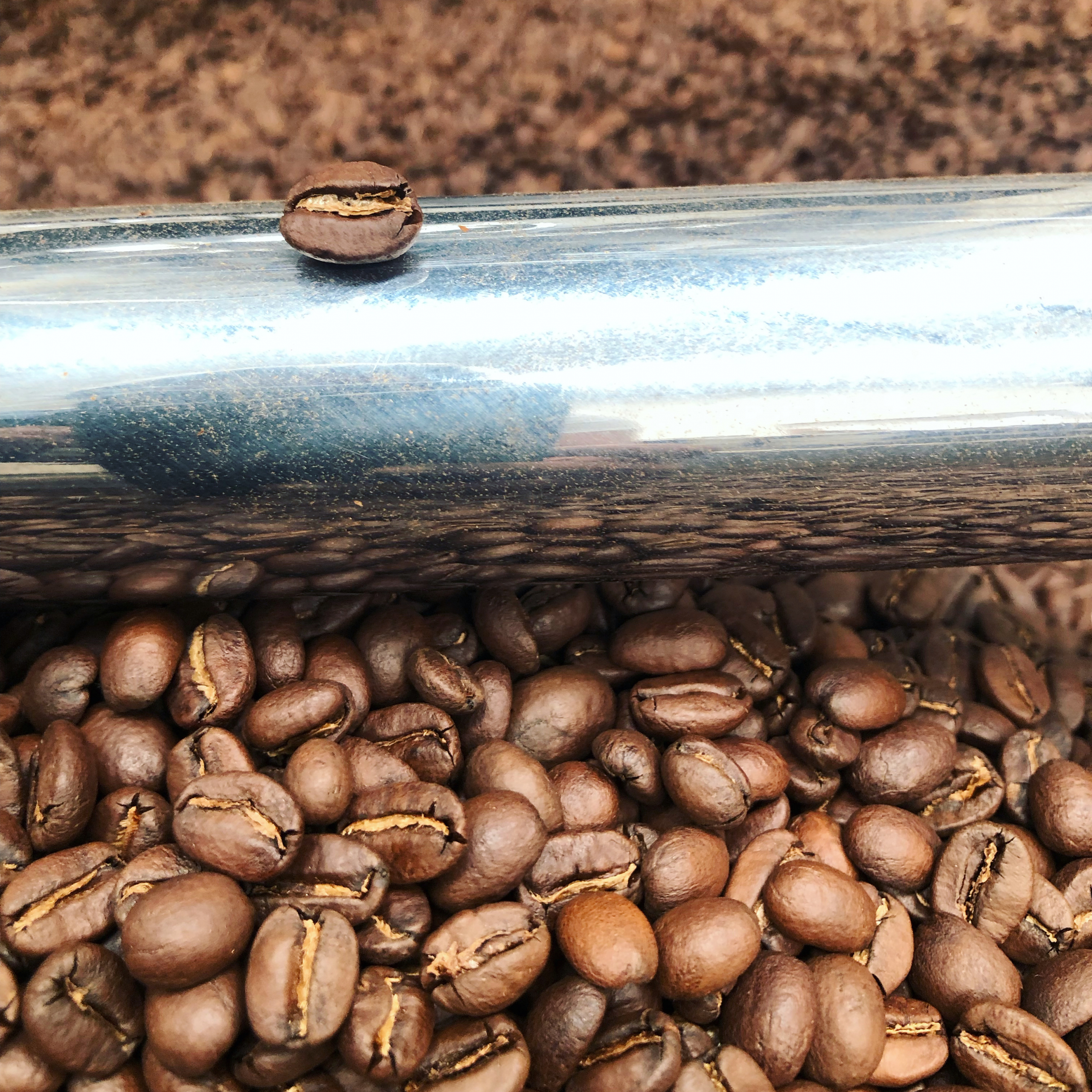 Café Tostado de Oaxaca – 100% Arábica de Altura