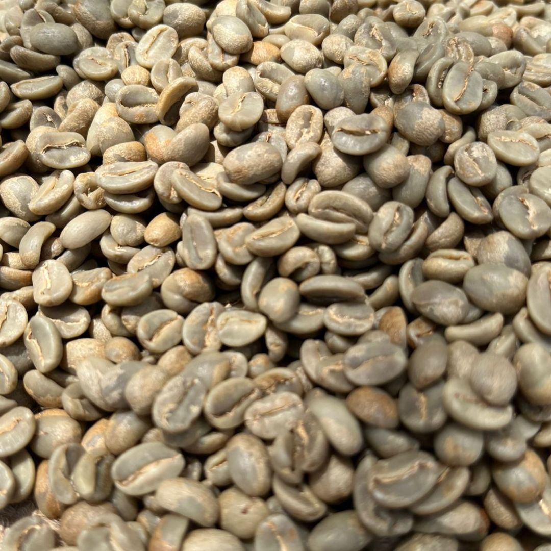 Café Verde (Café Oro) de Oaxaca