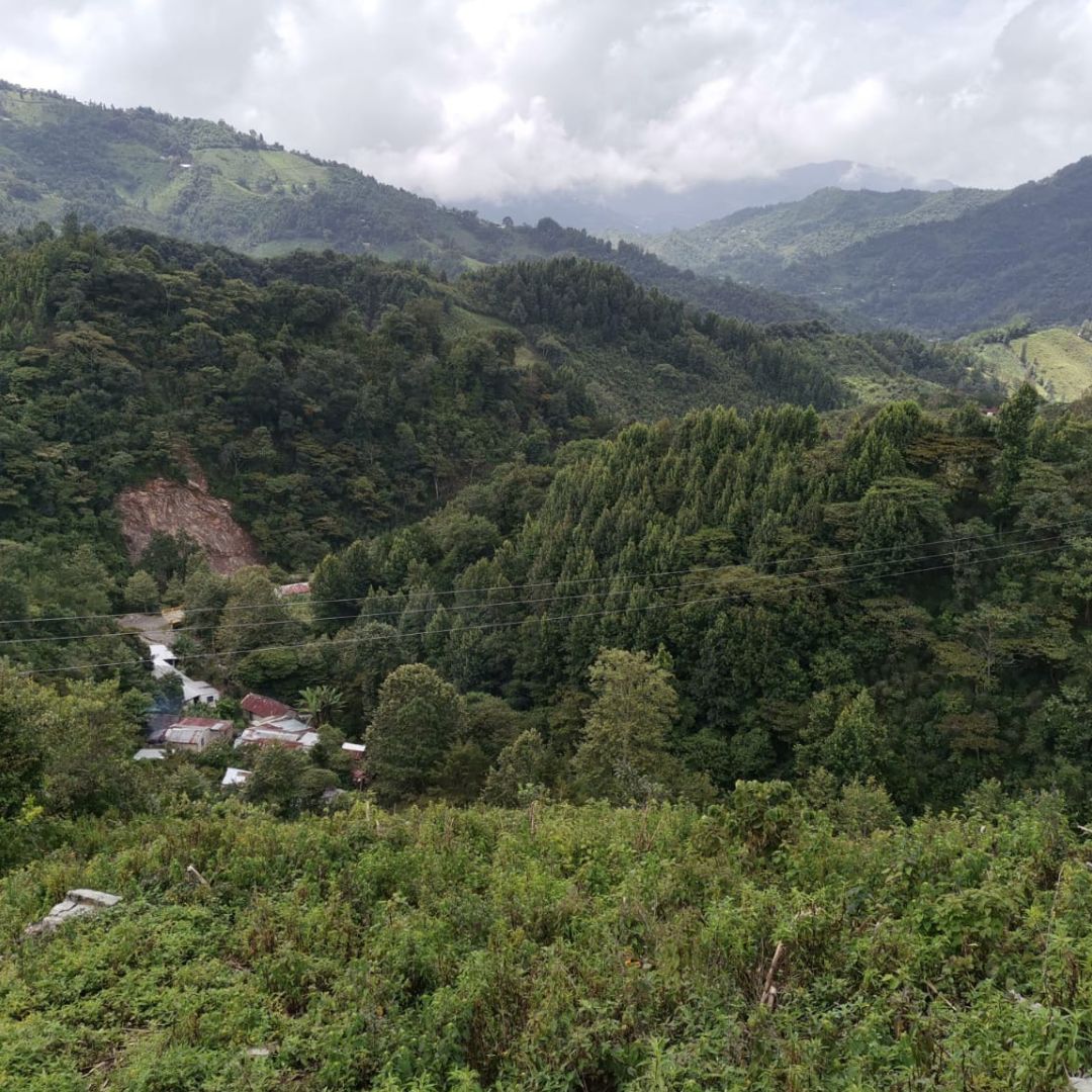 Peña Colorada - Image 8